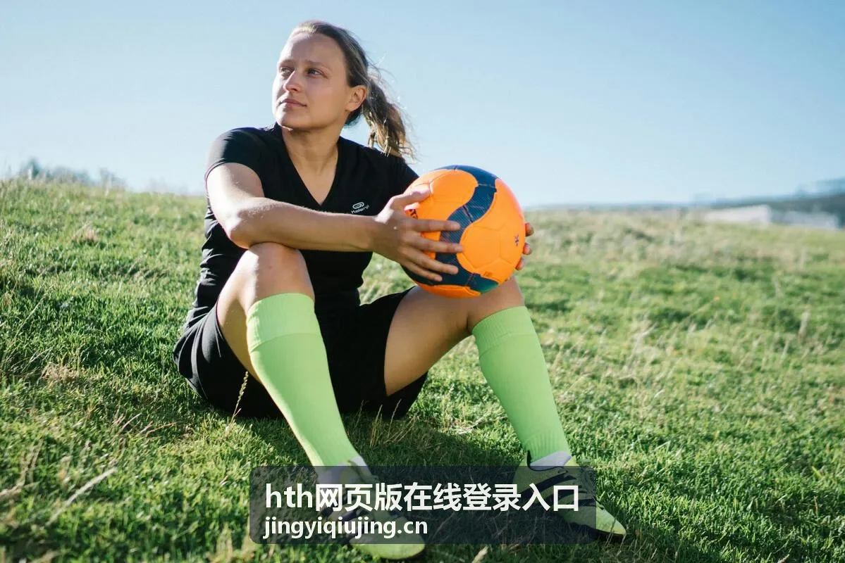 hth网页版在线登录入口在桌面浏览器中的登录界面示意